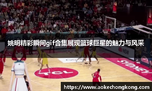 姚明精彩瞬间gif合集展现篮球巨星的魅力与风采